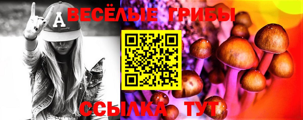 Псилоцибиновые грибы Cubensis Отрадный